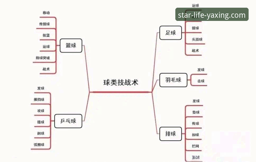 从中国女篮战术调整，看团队协作与系统稳定的实用指南